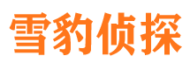 双桥区市侦探调查公司